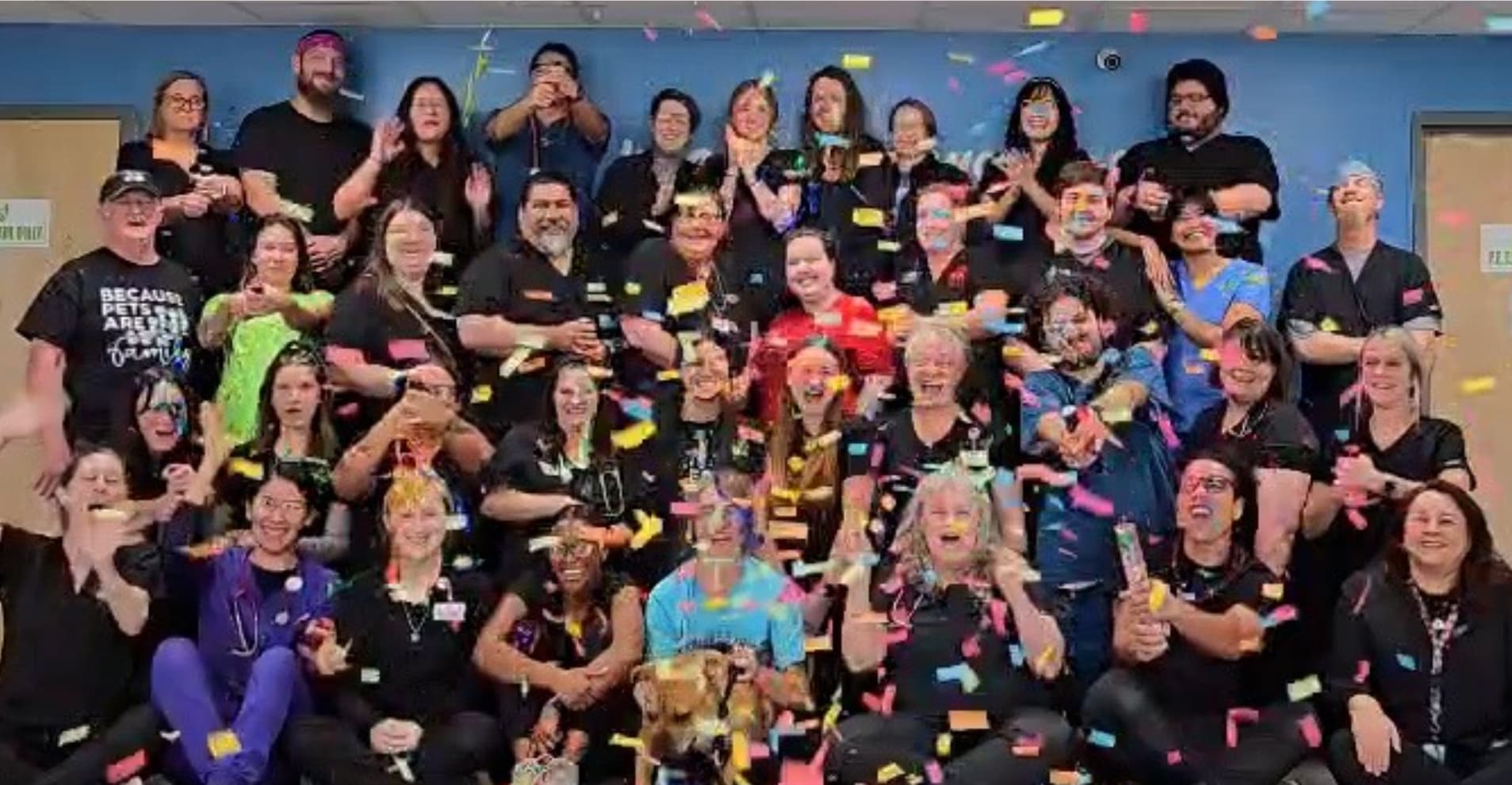 PETS Clinic 17th birthday milestone image
