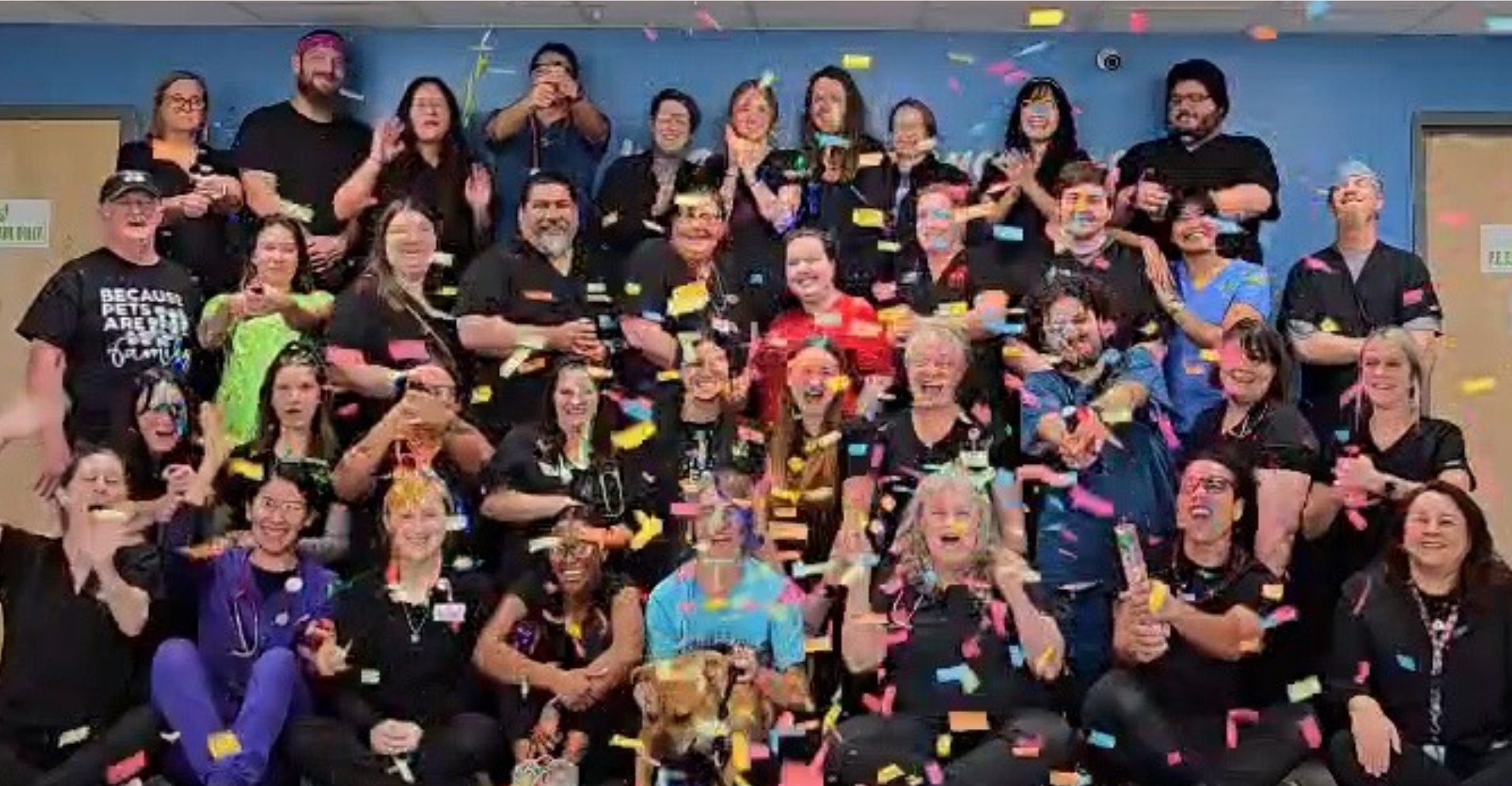 PETS Clinic 17th birthday milestone image