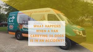 PETS Clinic transport van used for rescue and clinic work