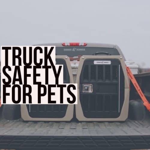 Truck Safety for Pets