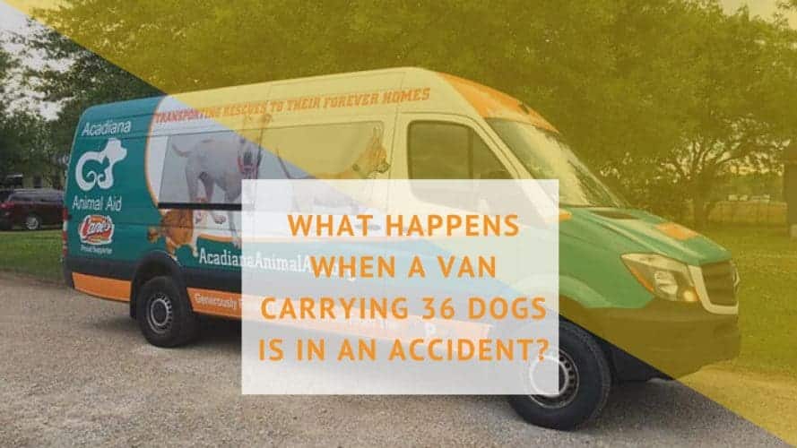 Pet Van Accident Wichita Falls