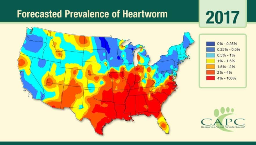 Heartworms in Texas