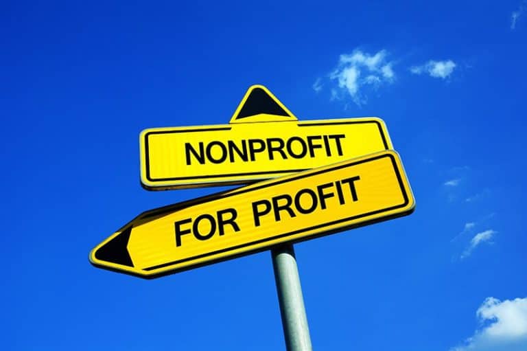 Can a Nonprofit Spend to Grow?